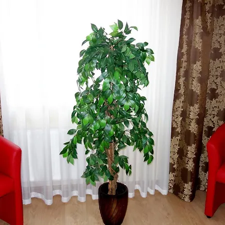 Apartment Sophie Red Kyiv