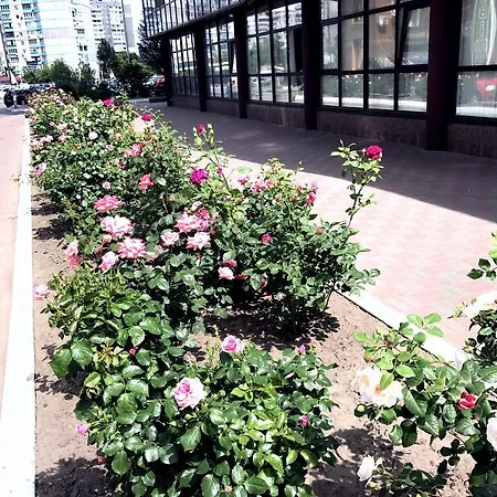 Apartamento Sophie Red